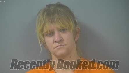 Booking photo from Sullivan County, Indiana