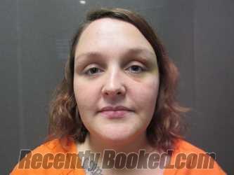 Booking photo from Sullivan County, Indiana