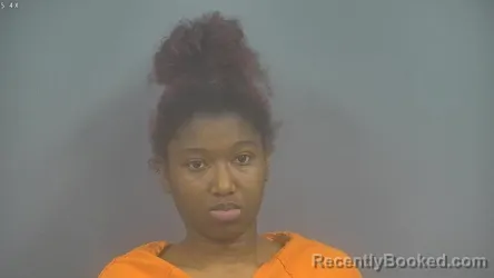 Mugshot of ELEXIS D WILLIAMS booked in Sullivan County, Indiana on March 27, 2026