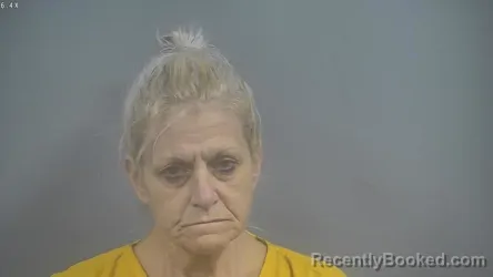 Mugshot of Jill Ann Hensley booked in Sullivan County, Indiana on September 5, 2026