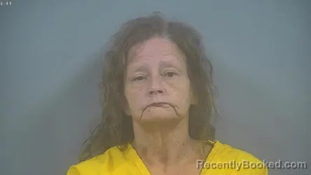 Mugshot of Lisa Marie Ashba booked in Sullivan County, Indiana on September 8, 2026
