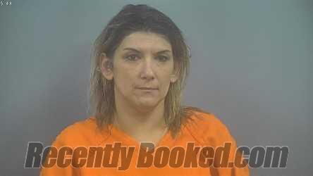 Booking photo from Sullivan County, Indiana