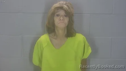 Mugshot of Sherry Lynn Patterson