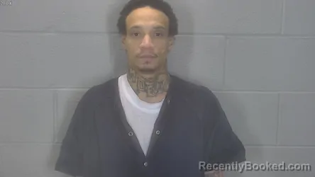 Mugshot of Jerry Arnold Ford