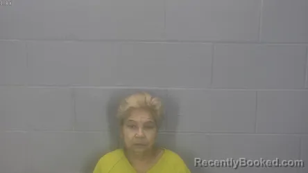 Mugshot of Anadelia Rodriguez Ocasio
