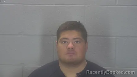 Mugshot of Denver Liam Mclochlin