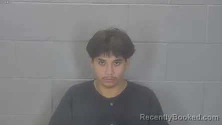 Mugshot of Yordy Ulises Viveros-Garcia