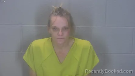 Mugshot of Amy M Gallivan