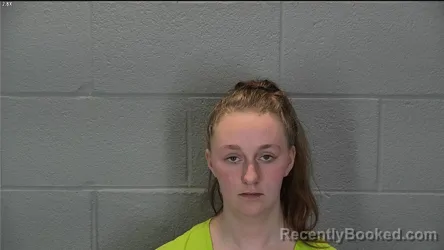 Mugshot of Hayleigh Rein Zborek