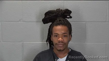 Mugshot of Reginald E Woods