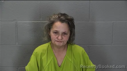 Mugshot of Amy Sue Downs