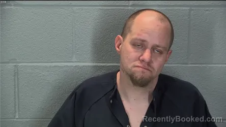 Mugshot of Tracey Lee Williams booked in Tippecanoe County, Indiana on March 18, 2026