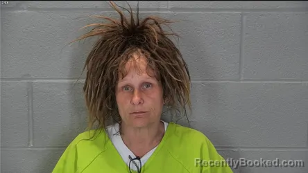 Mugshot of Robin Ilene Slone booked in Tippecanoe County, Indiana on March 29, 2026