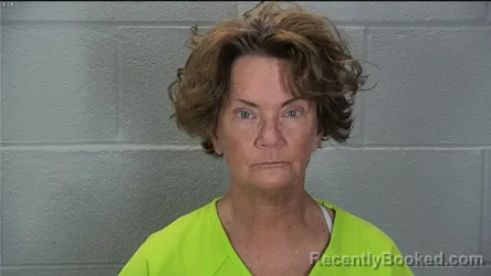 Mugshot of Julie Elane Hankins booked in Tippecanoe County, Indiana on March 29, 2026