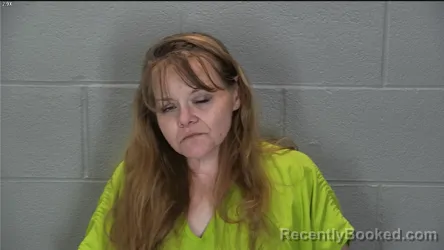 Mugshot of Carrie Ann Hines booked in Tippecanoe County, Indiana on April 25, 2026