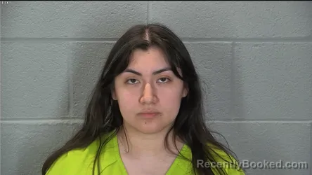 Mugshot of Priscilla Vanessa Limon booked in Tippecanoe County, Indiana on June 25, 2026
