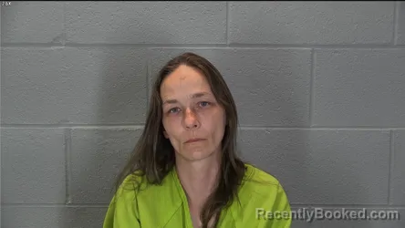 Mugshot of Christine Ann Harvey booked in Tippecanoe County, Indiana on June 28, 2026