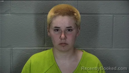 Mugshot of Jennifer Marie Hendrix booked in Tippecanoe County, Indiana on June 30, 2026