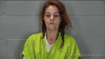 Mugshot of Leslie Ann Clevinger booked in Tippecanoe County, Indiana on July 9, 2026