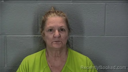 Mugshot of Cynthia Anne Shaw-Collins booked in Tippecanoe County, Indiana on July 25, 2026