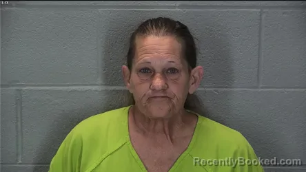 Mugshot of Lisa Bates booked in Tippecanoe County, Indiana on July 30, 2026