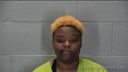 Mugshot of Pashince Talia Turner booked in Tippecanoe County, Indiana on July 31, 2026
