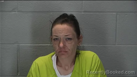 Mugshot of Talisa Diane Wilson booked in Tippecanoe County, Indiana on August 4, 2026