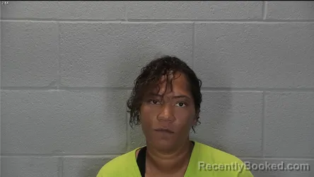 Mugshot of Lydia Sue Williams booked in Tippecanoe County, Indiana on August 11, 2026