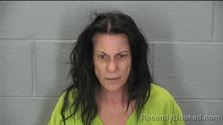 Mugshot of Joanne B Hanningan booked in Tippecanoe County, Indiana on October 5, 2026