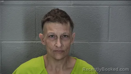 Mugshot of Aimee C George booked in Tippecanoe County, Indiana on October 22, 2026