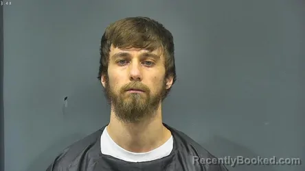 Mugshot of BRANDON TAYLOR HAYNES