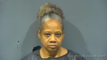 Mugshot of Evelyn Stokes booked in Tipton County, Indiana on October 16, 2026