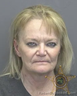 Mugshot of LISA ANN JAMES