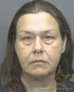 Mugshot of VIRGINIA LEE DYSON