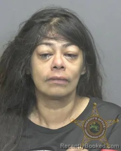 Mugshot of ELVIA SOL JOHNSON
