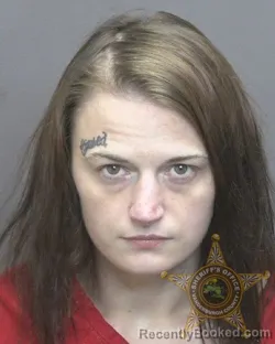 Mugshot of ASHLEY ANN SIMON booked in Vanderburgh County, Indiana on July 11, 2026