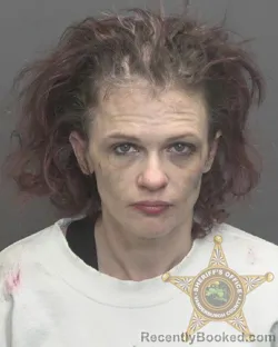 Mugshot of KELLI MICHELLE PURL booked in Vanderburgh County, Indiana on April 25, 2026