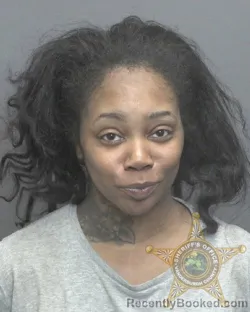 Mugshot of JOELLE JANTTE WILLIAMS-CURRY booked in Vanderburgh County, Indiana on April 15, 2026