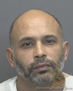 Mugshot of ANDREA LAMONT MCNEAL