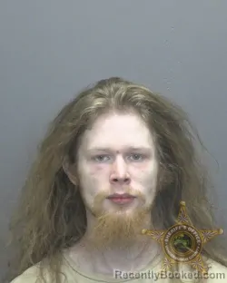 Mugshot of DYLAN MICHAEL FENWICK