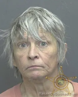 Mugshot of ELLEN JONELL ROSS-PATTON