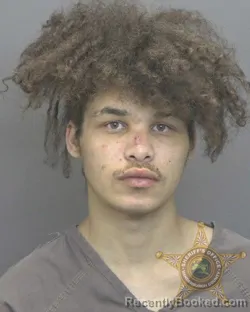 Mugshot of ROBERT JOE TOWNSEND