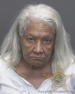 Mugshot of KATIE MARLEEN OVERTON booked in Vanderburgh County, Indiana on April 24, 2026