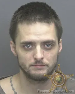 Mugshot of DILLON RAY DANIELS