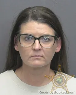 Mugshot of Brandy Deanne Houchin booked in Vanderburgh County, Indiana on July 17, 2026