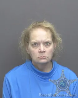 Mugshot of DIANE RENEE EVANS