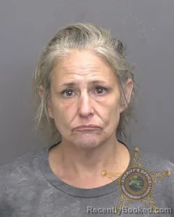 Mugshot of Traci Lynn Reising booked in Vanderburgh County, Indiana on July 17, 2026