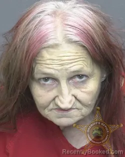 Mugshot of Sandra Jean Dougan booked in Vanderburgh County, Indiana on July 18, 2026
