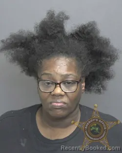 Mugshot of Felicia Farrara Lawrence booked in Vanderburgh County, Indiana on July 29, 2026