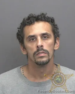 Mugshot of Nelson Elmer Detalente booked in Vanderburgh County, Indiana on July 29, 2026